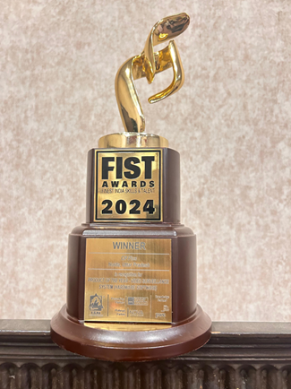 Product of the Year Award 2024 - Video Surveillance Systems - FIST Awards 2024 presented by FSAI